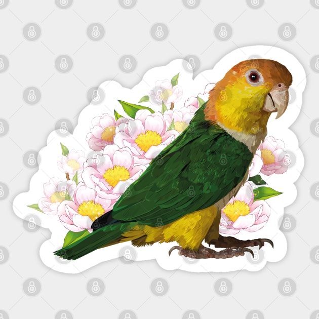 caique Sticker by obscurite